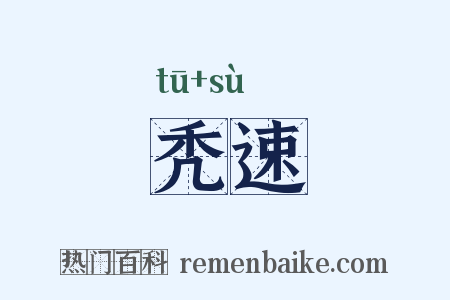 秃速是什么意思的图片